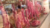 Ilustrasi Pedagang Daging