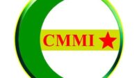 Logo CMMI