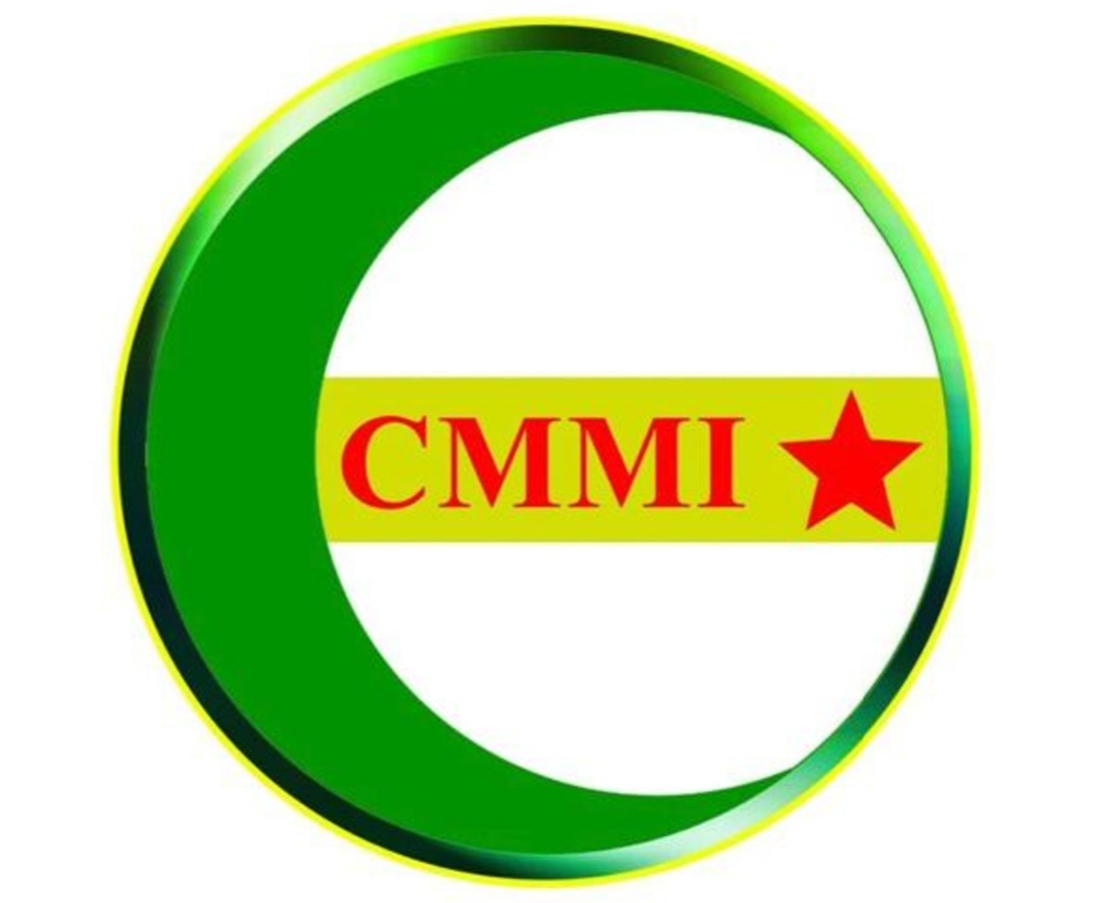 Logo CMMI